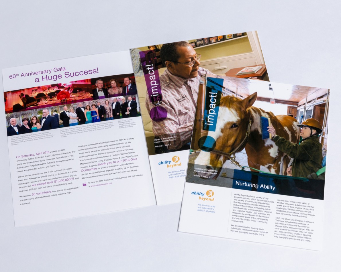 To further celebrate AB’s mission and success, we designed and produced inserts for marketing folders to champion their impact on the community and meeting fundraising goals.
