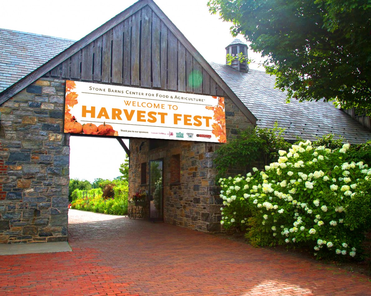 Harvest Fest is a highly visible community event, and we created signage to match. Echoing the colors of leaf-peeping season, this vibrant banner welcomes attendees and sets the tone for a day of fall fun.